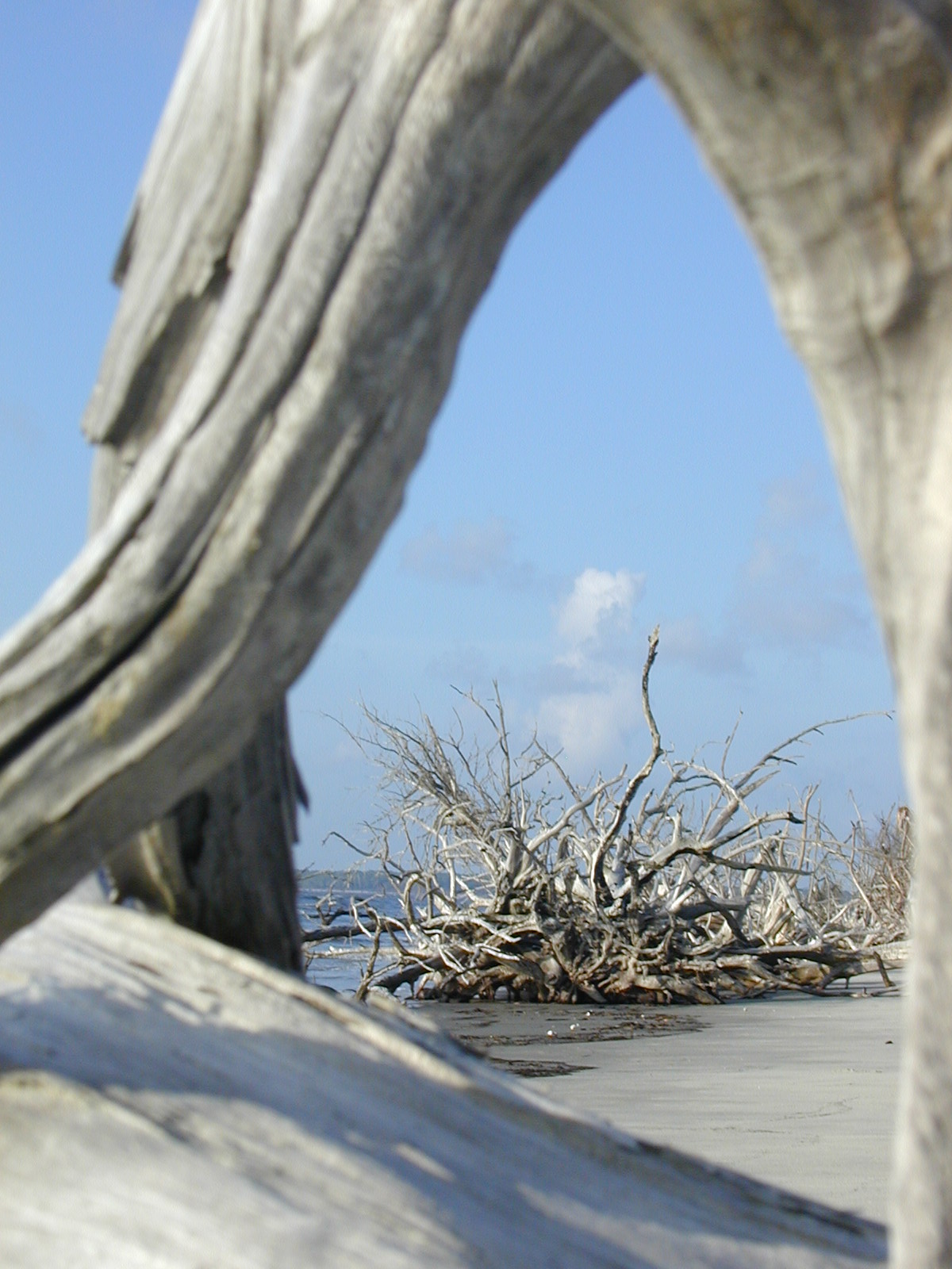 Boneyard